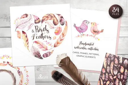 CreativeMarket - Birds & Feathers Collection