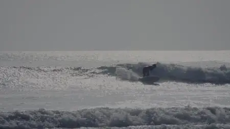 Surfside Girls S01E01