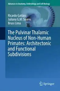 The Pulvinar Thalamic Nucleus of Non-Human Primates: Architectonic and Functional Subdivisions