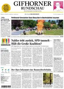 Gifhorner Rundschau - Wolfsburger Nachrichten - 03. Juni 2019