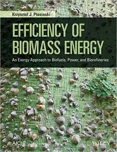 Efficiency of Biomass Energy: An Exergy Approach to Biofuels, Power, and Biorefineries (Repost)