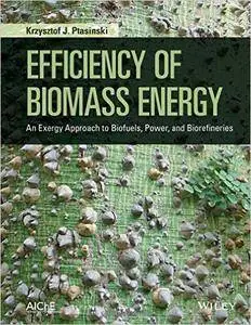 Efficiency of Biomass Energy: An Exergy Approach to Biofuels, Power, and Biorefineries (Repost)