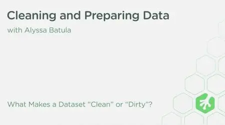 Cleaning and Preparing Data