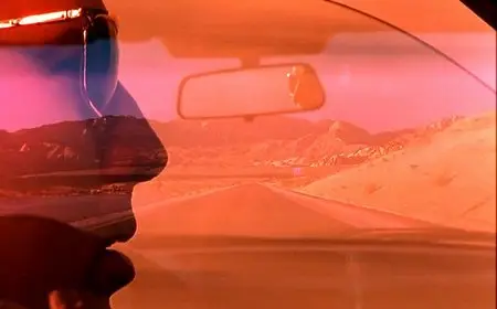 Leaving Las Vegas (1995)