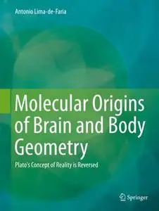 Molecular Origins of Brain and Body Geometry: Plato's Concept of Reality is Reversed