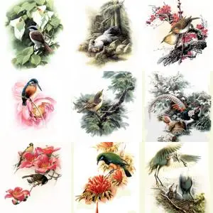 Sunsets Wallpapers (Repost with mirrors)