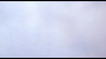 Killing Birds (1988)