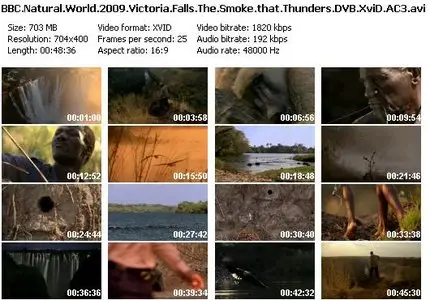 BBC Natural World - Victoria Falls - The Smoke that Thunders (2009) [Eng Sub]
