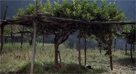 Il Decameron (1971)