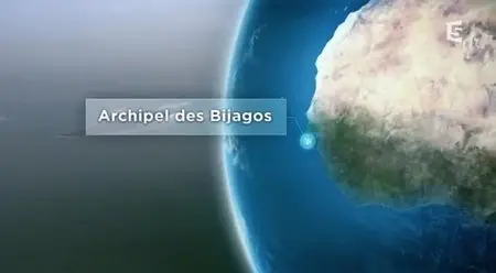 (Fr5) Vu sur Terre - Archipel Des Bijagos (2013)