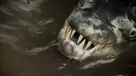 ITV - River Monsters Series 3 (2011)