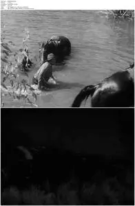 The Overlanders (1946)