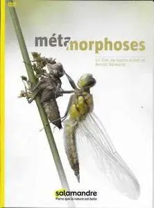 Métamorphoses (2016)