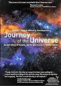 InCA - Journey of the Universe (2011)