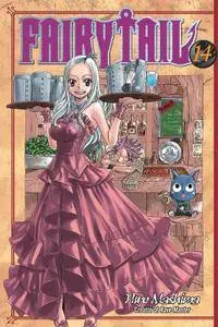 Fairy Tail v14 (2011)
