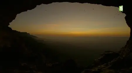 (Fr5) Arabie sauvage (2014)