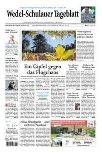 Wedel-Schulauer Tageblatt - 06. Oktober 2018
