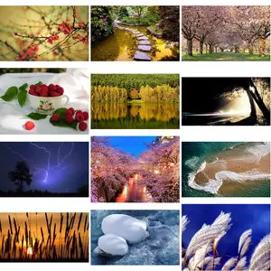 Wallpapers Nature. Set 24