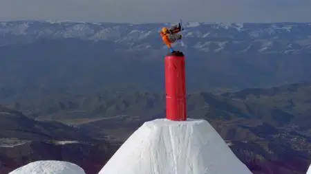 The Art of Flight (2011)