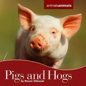 Pigs and Hogs (Animals Animals) (repost)