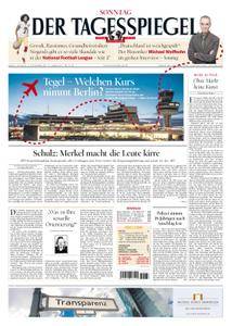Der Tagesspiegel - 17. September 2017