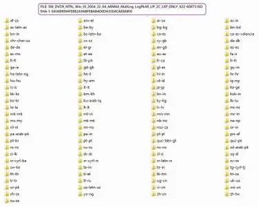 Windows 10 Version 2004 (20H2 / arm64) LXPs (released March 2021)