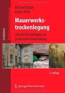Mauerwerkstrockenlegung: Von den Grundlagen zur praktischen Anwendung (Auflage: 2) [Repost]