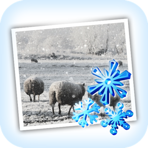 JixiPix Snow Daze 1.26