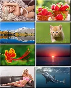 Computer Desktop Wallpapers Collection. Part (1329)