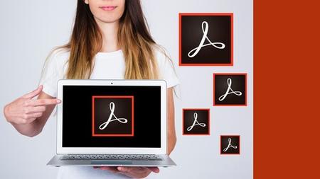 Adobe acrobat pro dc basic concepts for beginners
