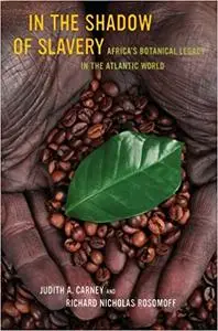 In the Shadow of Slavery: Africa’s Botanical Legacy in the Atlantic World