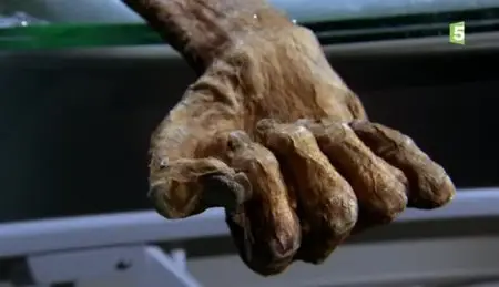 (Fr5) Ötzi, la momie des glaces (2012){Re-UP}