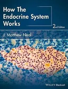 How the Endocrine System Works (The How it Works Series) (Repost)