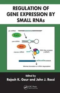 Regulation of Gene Exion by Small RNAs