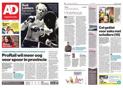 Algemeen Dagblad - Delft – 01 februari 2019
