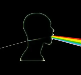 Vocomotion - Dark Side Of The Moon A Cappella (2005)