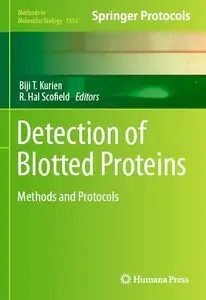 Detection of Blotted Proteins Methods and Protocols Detection of Blotted Proteins Methods and Protocols
