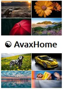 AvaxHome Wallpapers Part 89