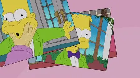 Die Simpsons S28E20