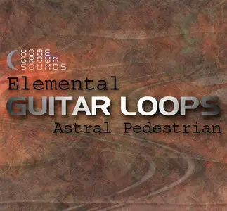 Homegrown Sounds Elemental Guitar Loops MULTiFORMAT (repost)