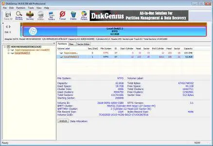 DiskGenius Professional 4.9.6.559 Portable