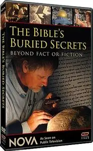 PBS Nova - The Bibles Buried Secrets (2008)