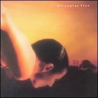 Porcupine Tree - On the Sunday of Life
