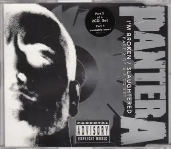 Pantera - Singles Collection (10 CDS, 1992-2000) RE-UPPED