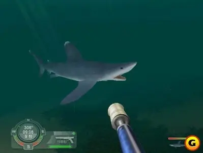 Shark! Hunting the Great White