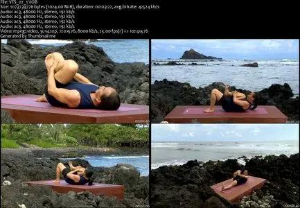 Rodney Yee - Ultimate Power Yoga