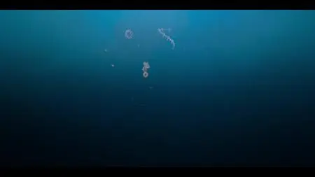 Dive Club S01E11