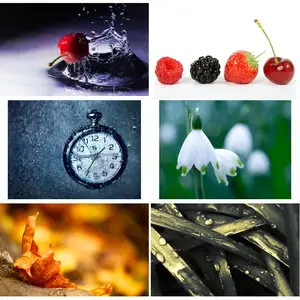 Wallpapers Macro. Set 22