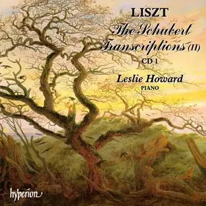 Liszt Complete Music for Solo Piano (95 CD box), Howard