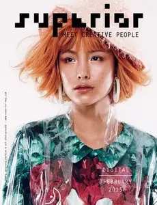 Superior - February 2015